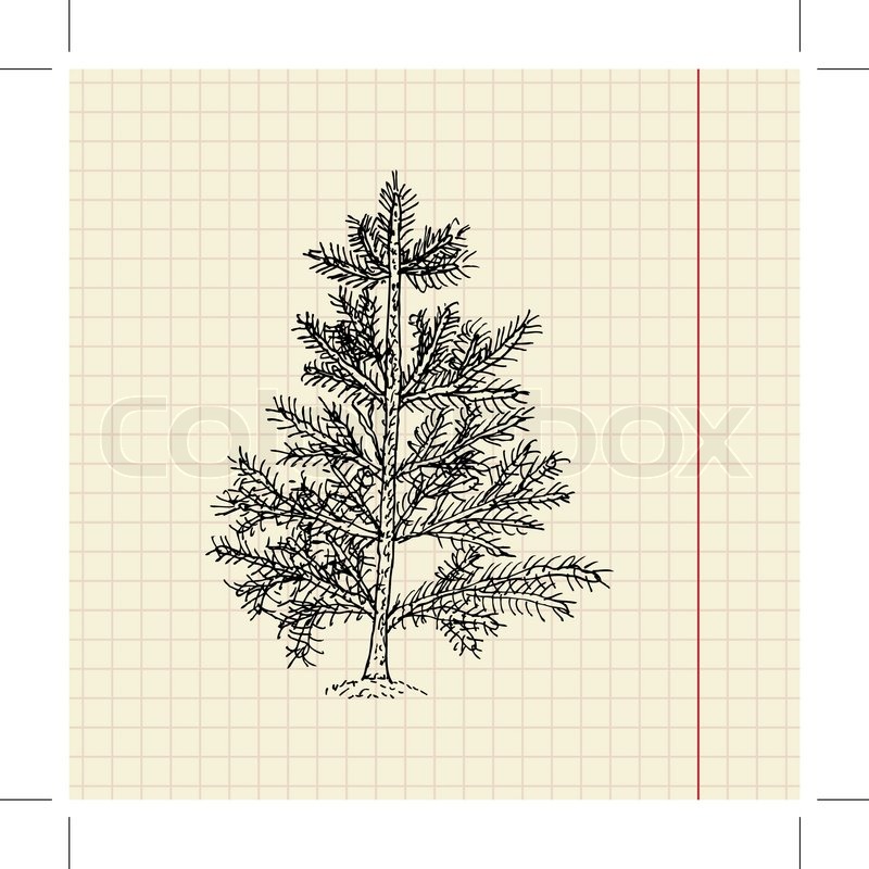 800x800 Christmas Tree Sketch On School Paper, Stock Vector Colourbox