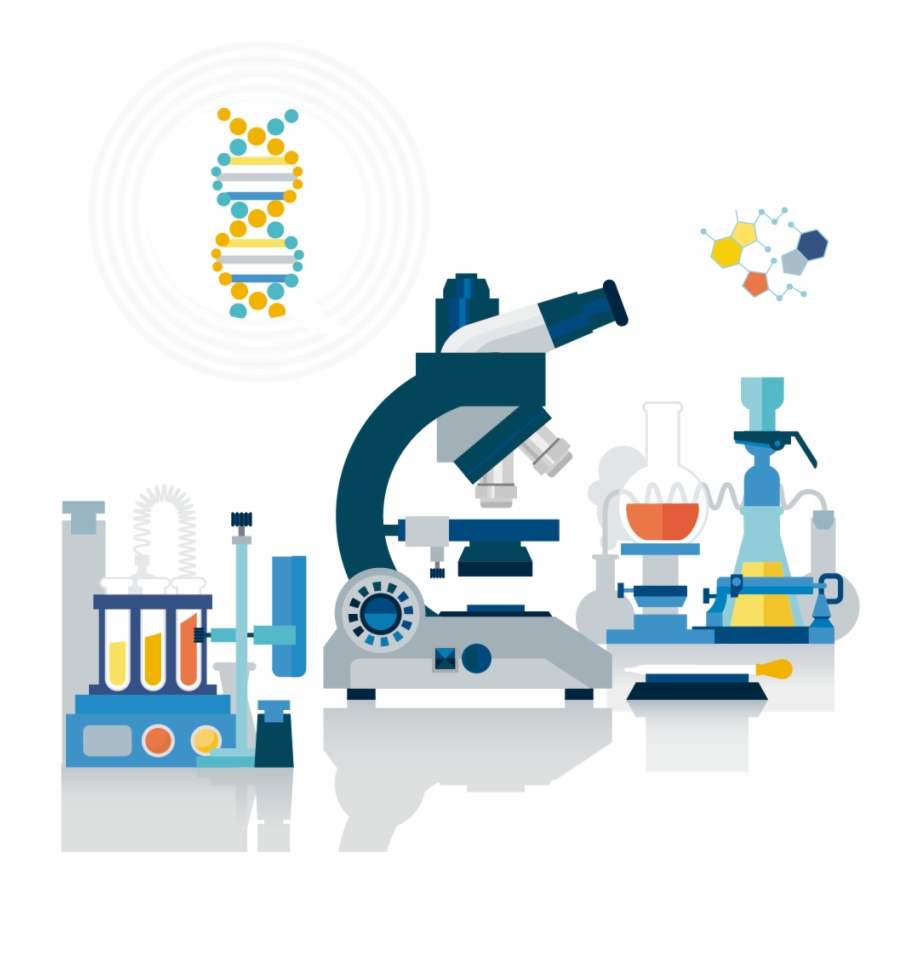 920x974 Science Laboratory Euclidean Vector Test Tube