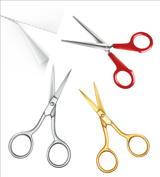 543x600 Scissors With White Paper Vector Free Vectors Ui Download
