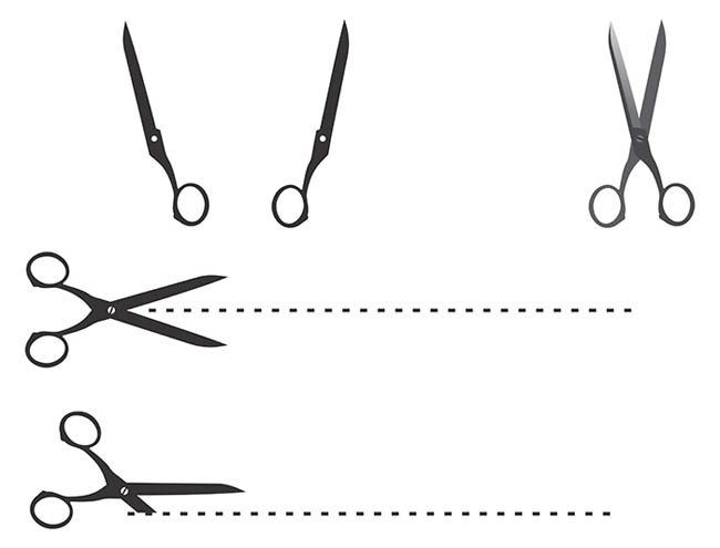 650x495 Cutting Edge Scissor Vectors