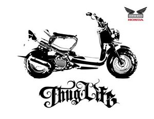 Honda Ruckus Thug Life Scooter Vector Vectorized Print Poster High 300x233 Honda Ruckus Thug Life Scooter Vector Vectorized Print Poster High