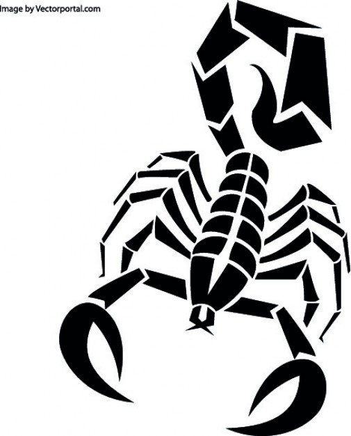 Scorpion Vectors, Photos And Free Download 505x626 Scorpion Vectors, Photos And Free Download