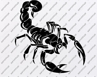 Clipart Scorpio Vector Clip For Free Download And Use Images 340x270 Clipart Scorpio Vector Clip For Free Download And Use Images