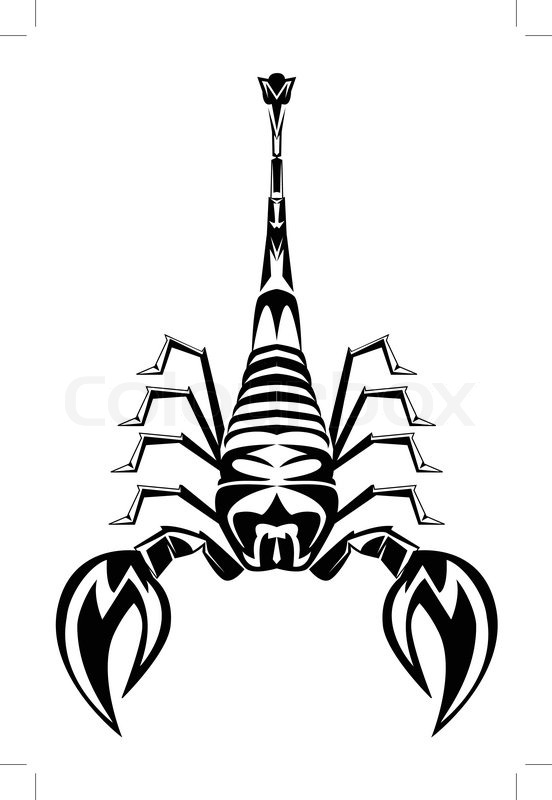 552x800 Scorpio Vector Stock Vector Colourbox