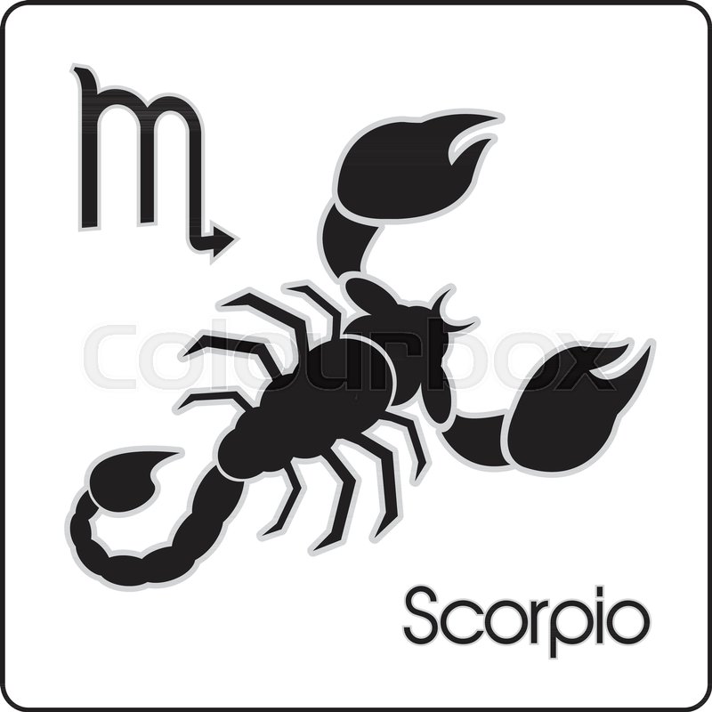 800x800 Scorpio Zodiac Astrology Vector Sign Stock Vector Colourbox