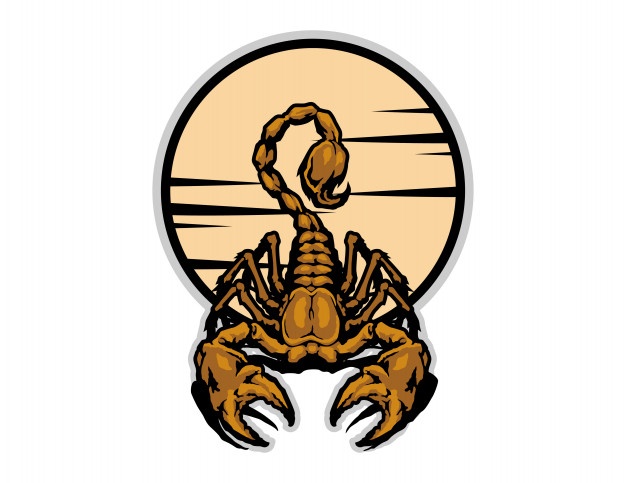 626x483 Scorpion Tattoo Vectors, Photos And Free Download