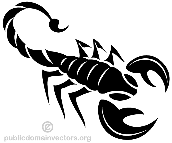 600x500 Scorpion Vector Art