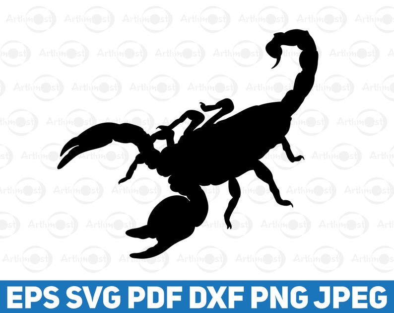 794x630 Scorpion Vector Clipart Silhouette Scorpio Clipart Etsy