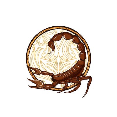 400x400 Zodiac Sign Scorpio Vector Illustration T Shirt Design Tshirt