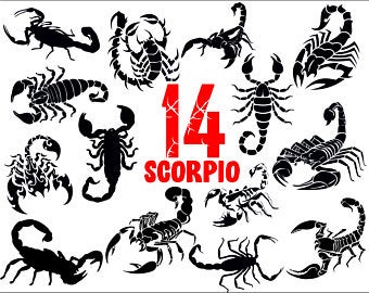 340x270 Clipart Scorpio Vector Clip Hq Picture