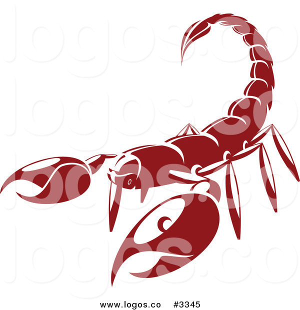 600x620 Royalty Free Vector Of A Red And White Scorpion Logo