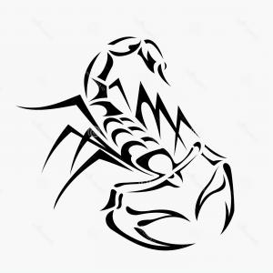 300x300 Scorpion Label Icon Vector Clipart Catchsplace