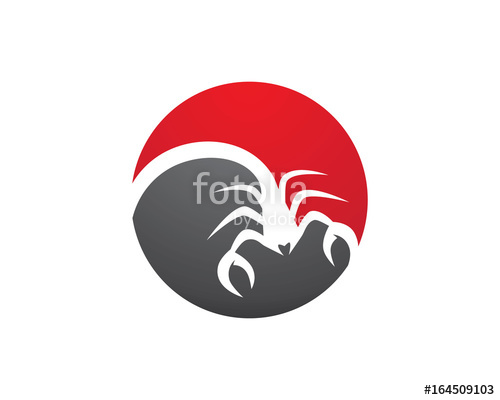 500x400 Scorpion Logo Template Vector Illustration Stock Image