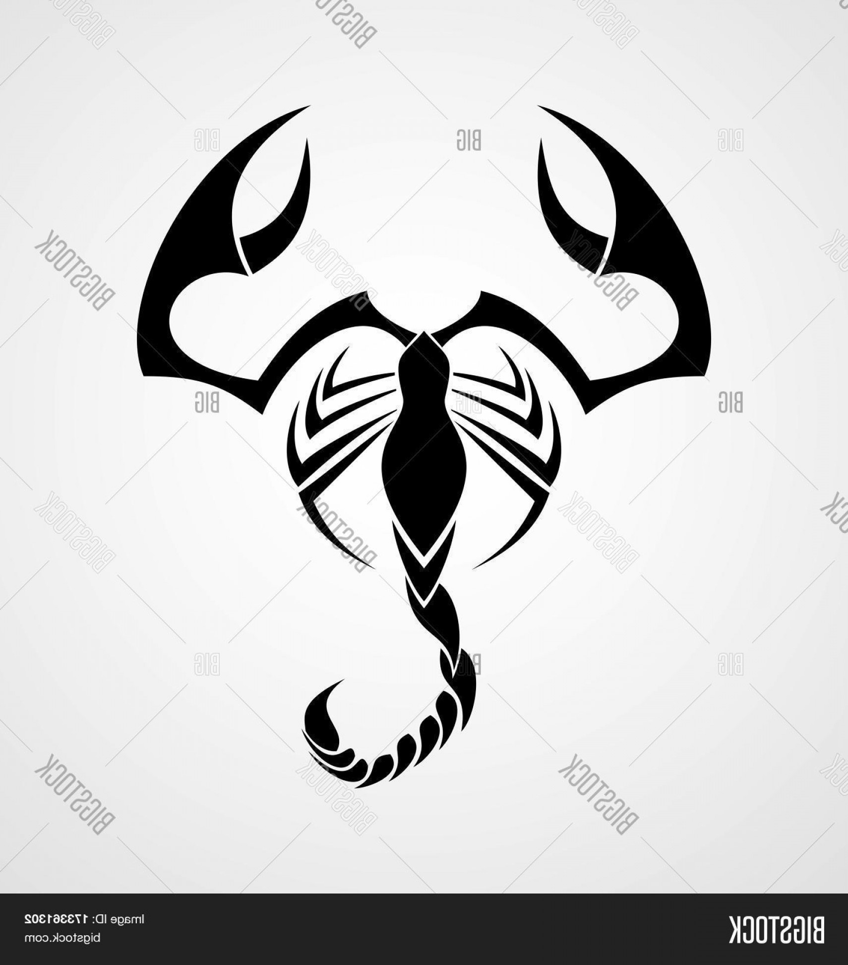 1710x1944 Scorpion Vector Catchsplace