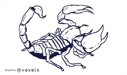 442x260 Scorpion Vector Graphics To Download