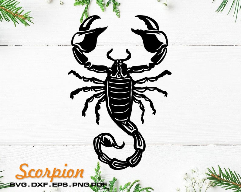 794x631 Scorpion Logo Clipart For Silhouette Vector Etsy