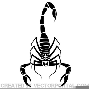 300x300 Scorpions Logo Vector Free Images