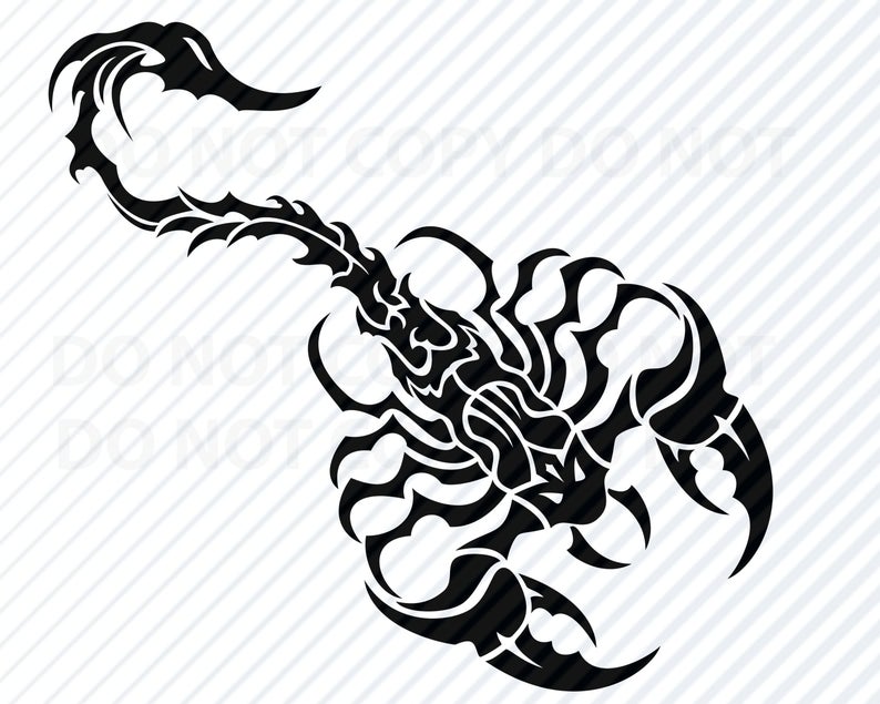 794x635 Tribal Scorpion For Cricut Black White Vector Etsy