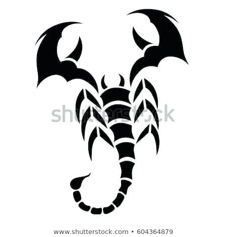 450x470 For Tattoo Or Logo Design Scorpion Danger Animal Template Vector