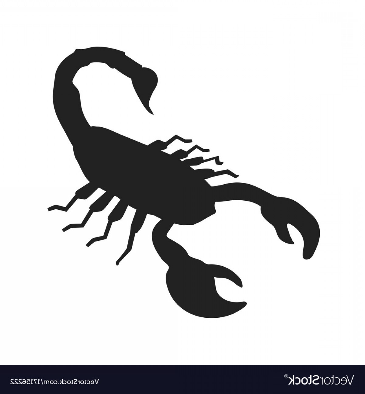 Scorpion Silhouette Vector at Vectorified.com | Collection of Scorpion ...