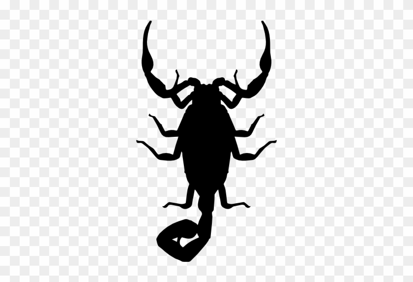 840x573 Scorpion Silhouette Euclidean Vector Icon