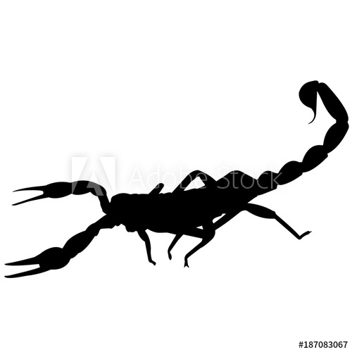 500x500 Scorpion Silhouette Vector Graphics