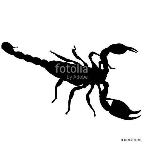 500x500 Scorpion Silhouette Vector Graphics Stock Image And Royalty Free