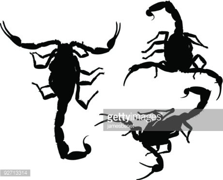 461x371 Scorpion Silhouettes