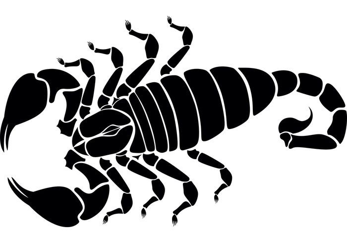 700x490 Scorpion Vector Image