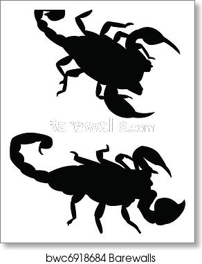292x382 Scorpion Silhouette, Art Print Barewalls Posters Prints