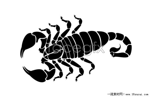 600x384 Scorpion Silhouette Vector Graphics Over Millions Vectors, Stock
