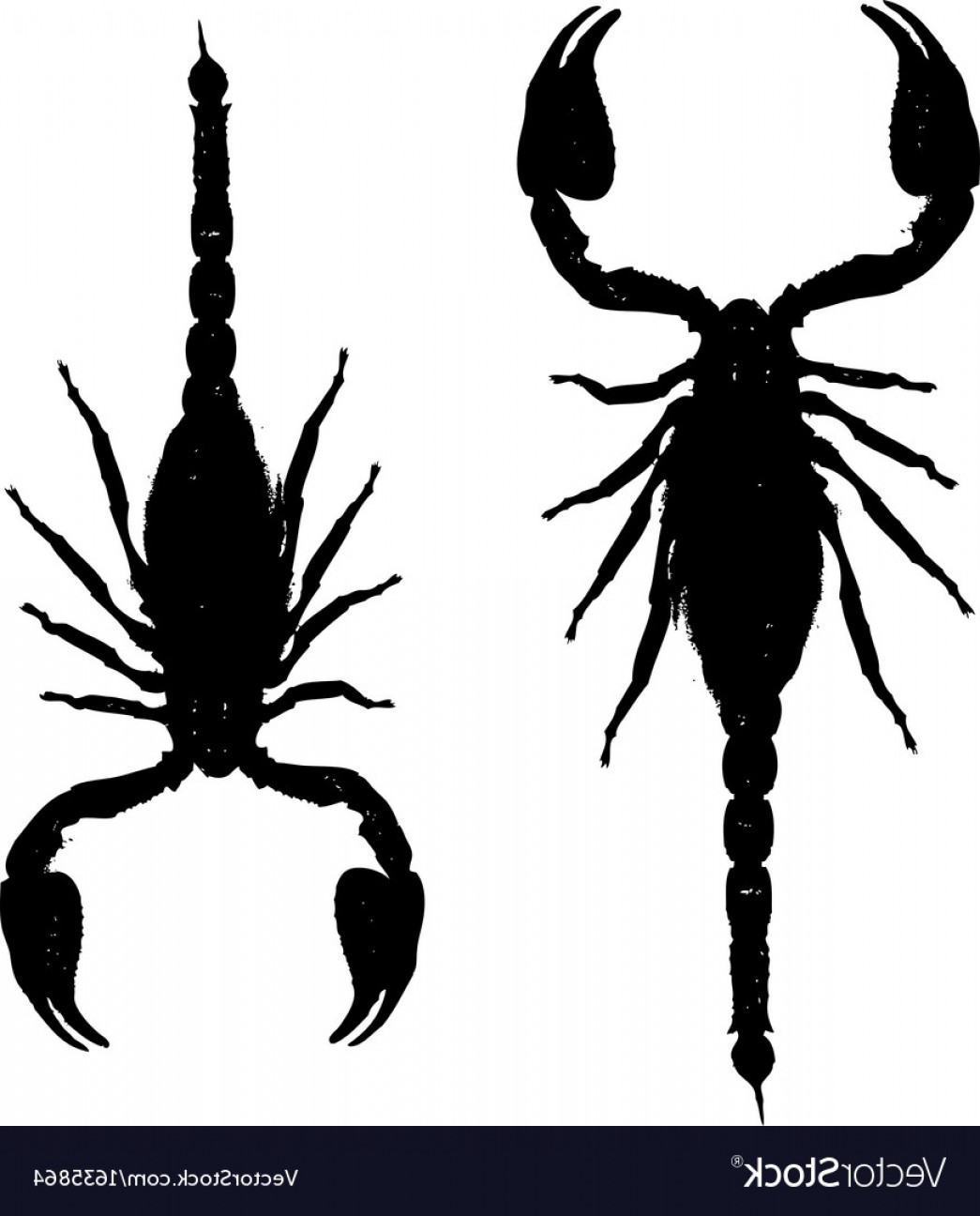 1045x1296 Scorpions Black Silhouette For Your Design Vector Soidergi