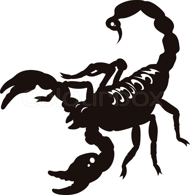 780x800 Silhouette Of Scorpion Isolated On Stock Vector Colourbox