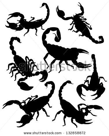 377x470 Vector Scorpion Silhouette