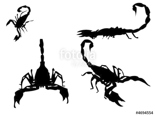 500x375 Scorpion Silhouette Stock Image And Royalty Free Vector
