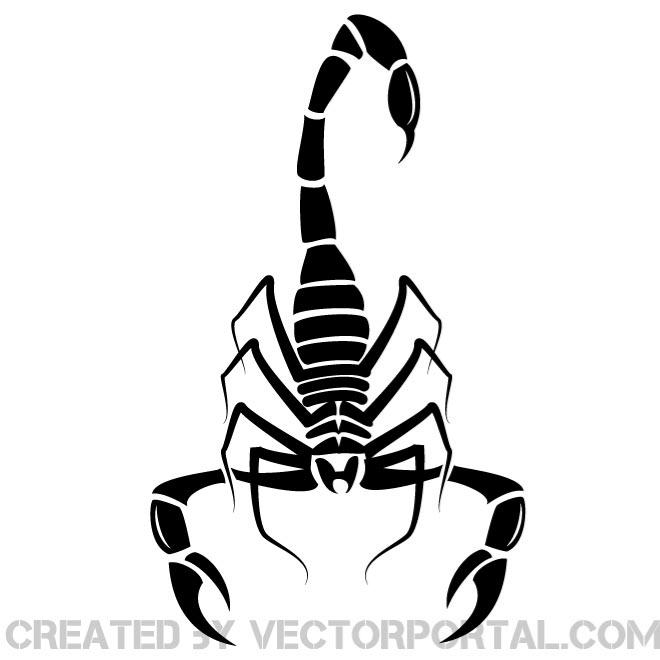 660x660 Image Of A Scorpion Free Vector Free Vectors Ui Download