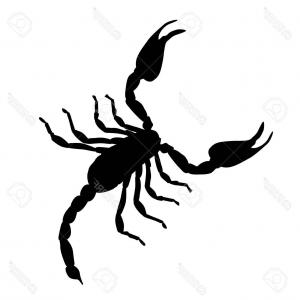 300x300 Photostock Vector Black Large Scorpion Silhouette Catchsplace