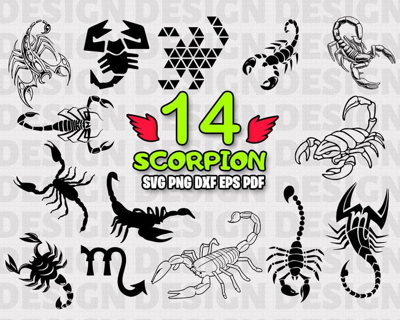 794x635 Scorpion Scorpion Scorpion Clipart Scorpion Vector Etsy
