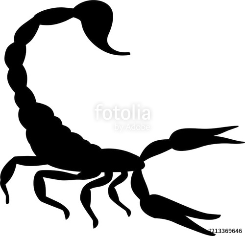 Scorpion Stock Image And Royalty Free Vector 500x483 Scorpion Stock Image And Royalty Free Vector