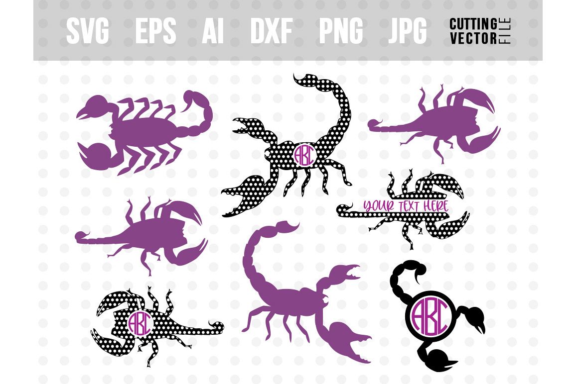 Scorpion Vector Bundle 1158x772 Scorpion Vector Bundle