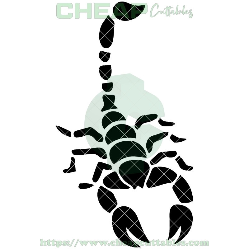 Scorpion Vector Design 800x800 Scorpion Vector Design