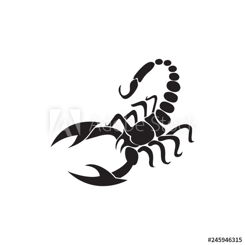 Scorpion Vector Illustration 500x500 Scorpion Vector Illustration