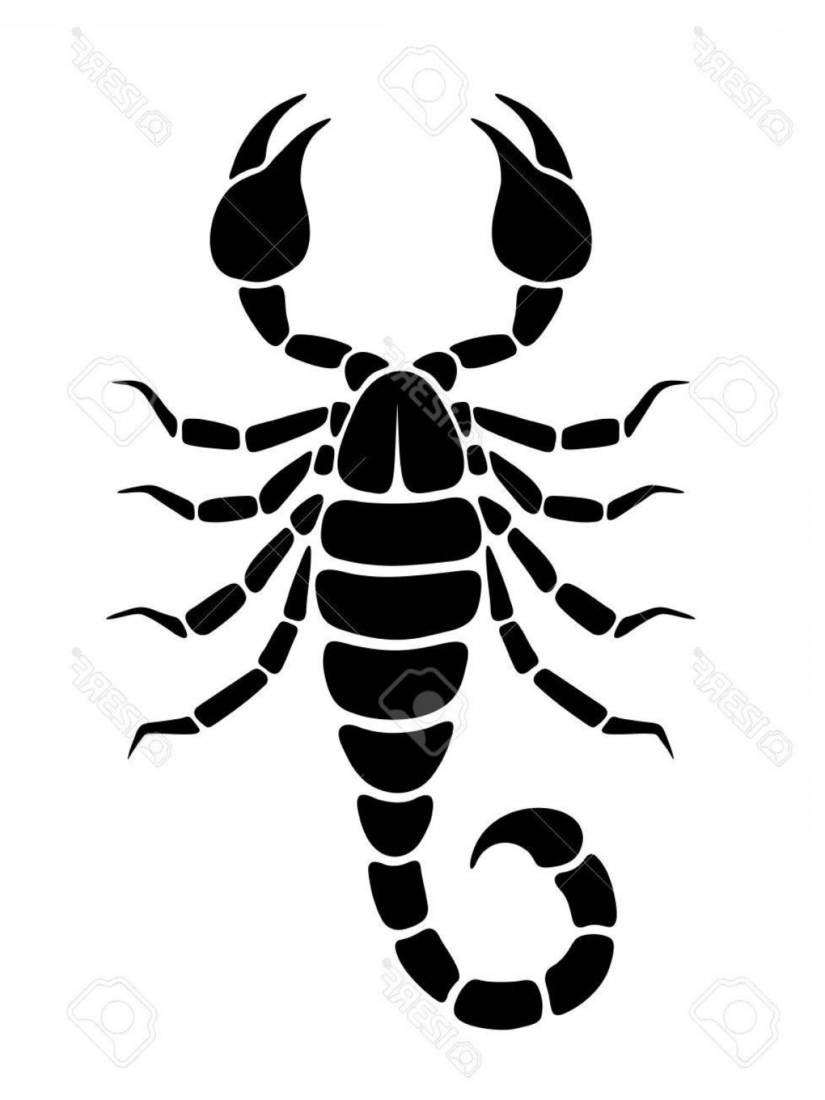 Scorpion Vector Silhouettes Catchsplace 1170x1560 Scorpion Vector Silhouettes Catchsplace