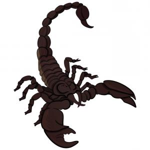 Cartoon Mascot Black Scorpion Vector Catchsplace 300x300 Cartoon Mascot Black Scorpion Vector Catchsplace