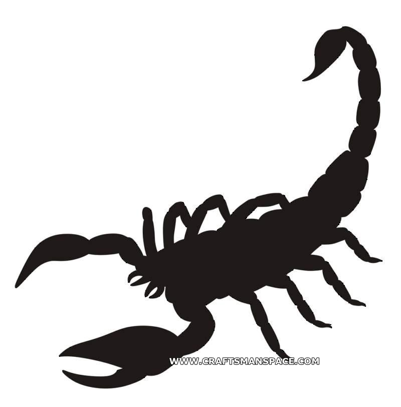 Scorpion Vector Silhouette 800x812 Scorpion Vector Silhouette