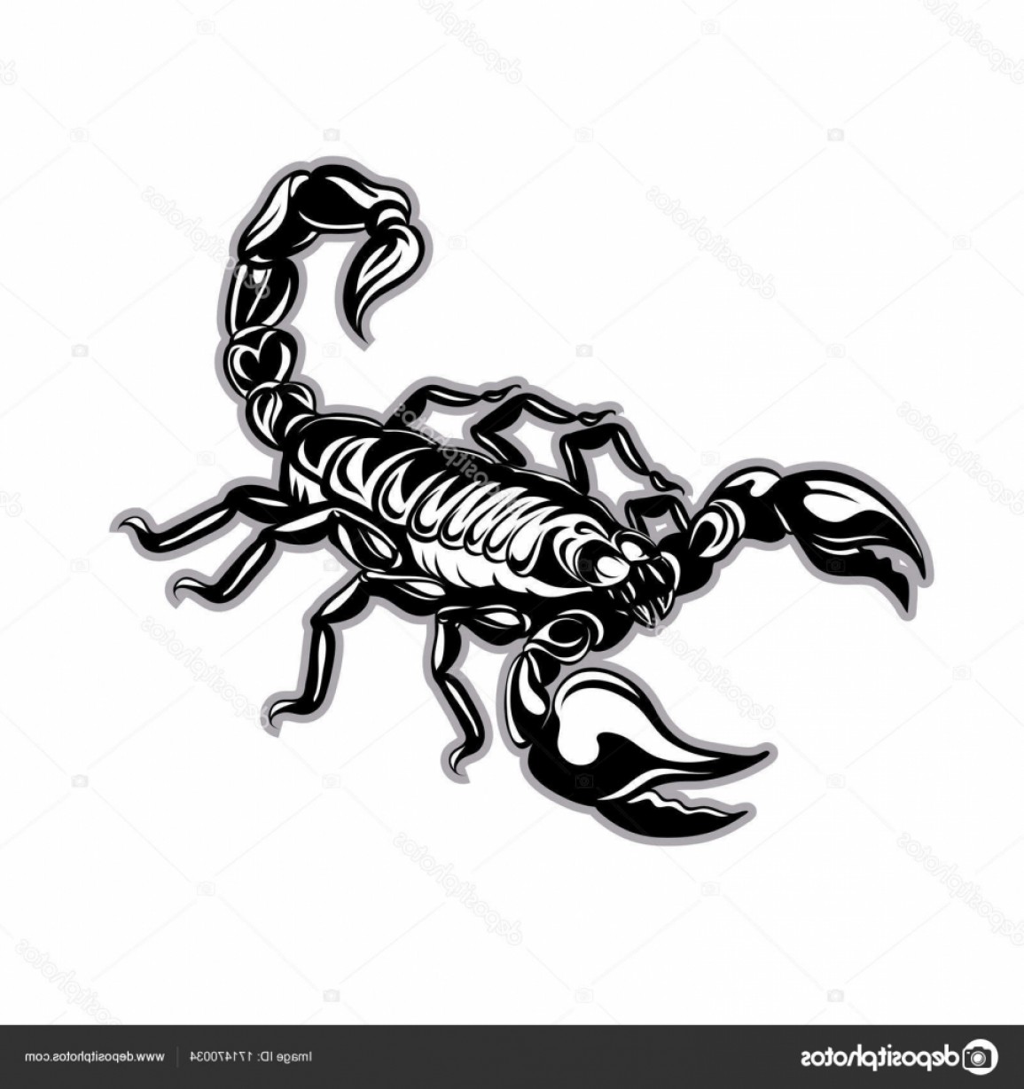 Stock Illustration Tattoo Scorpion Vector Zodiac Soidergi 1155x1228 Stock Illustration Tattoo Scorpion Vector Zodiac Soidergi
