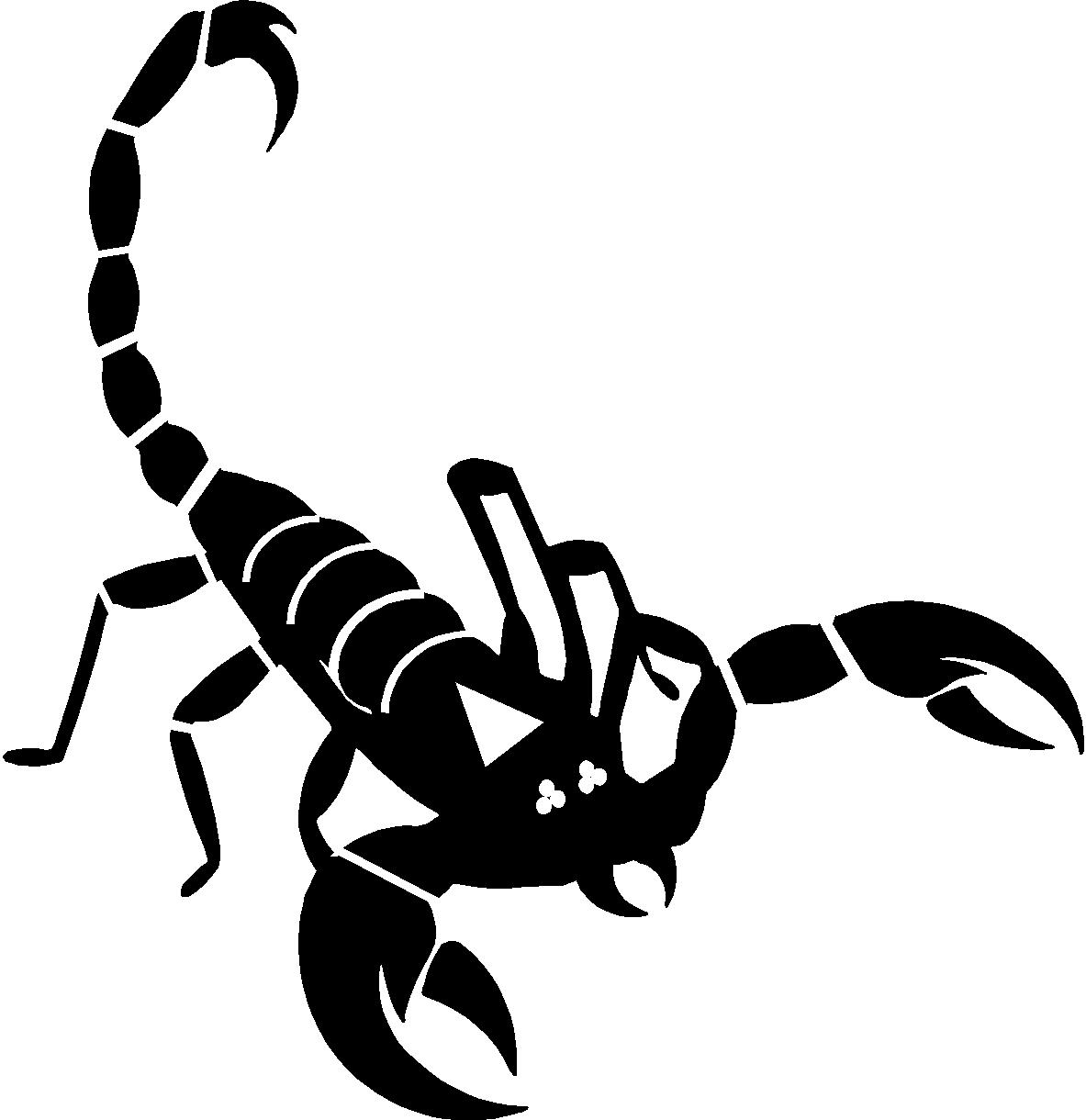 Scorpion Vector Free