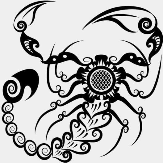528x528 Hand Drawn Scorpion Decoration Pattern Vector Free