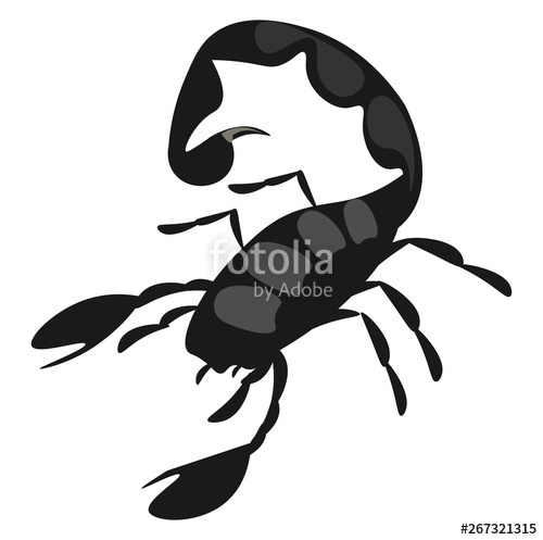500x497 Scorpion, Vector Or Color Illustration Stock Image And Royalty