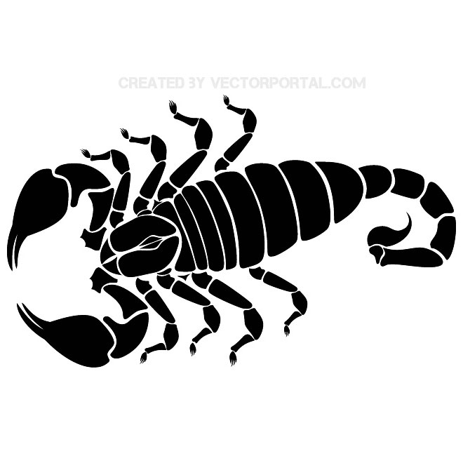 660x660 Scorpion Free Image Free Vector Free Vectors Ui Download